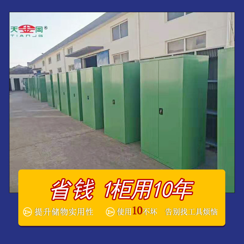 聊城雙開(kāi)門(mén)工具柜天金岡